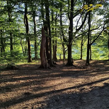 Apartament Im Hoetger-hof